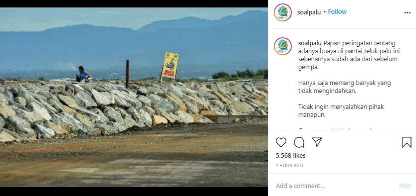 Video penyelamatan bapak digigit buaya di pantai Palu. (Instagram/ndorobeii)