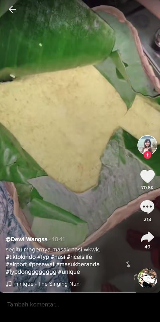 Wanita ini bawa 4 kilogram nasi di Pesawat (TikTok @dewiwangsa)