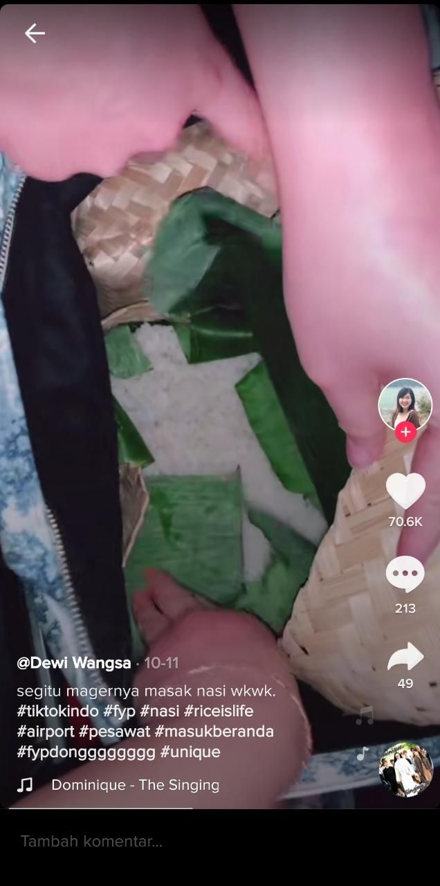 Wanita ini bawa 4 kilogram nasi di Pesawat (TikTok @dewiwangsa)