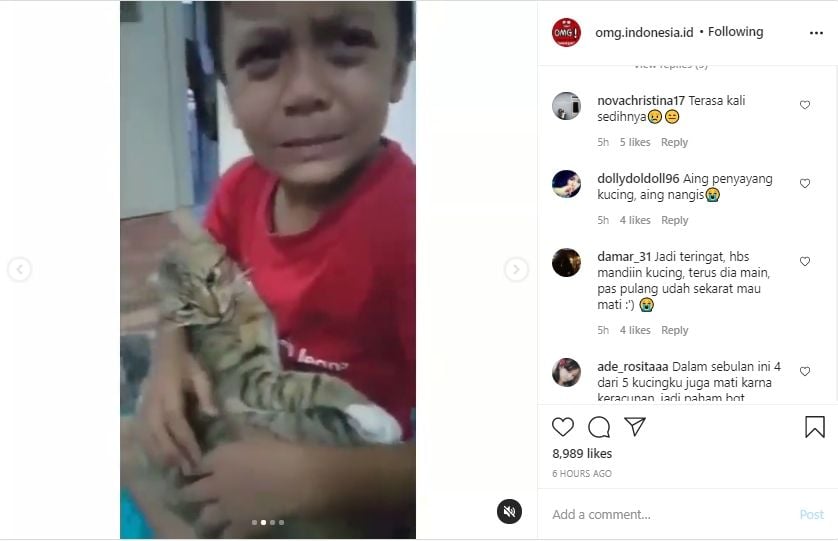 Momen bocah menangis sesenggukkan gegara kucingnya mati. (Instagram/omg.indonesia.id)