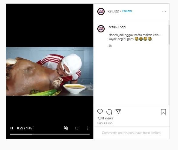 Lelaki ini makan cingur langsung dari kepala sapi (Instagram @cetul22)