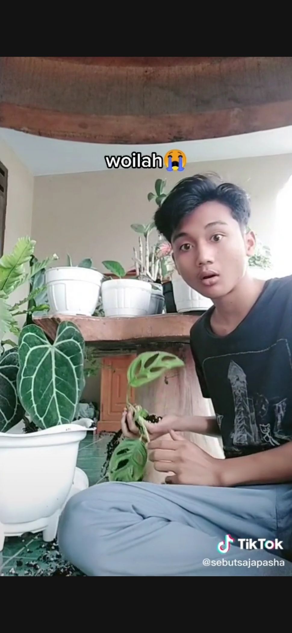 Lelaki Ini Jatuhkan Pot Berisi Janda Bolong. (TikTok)