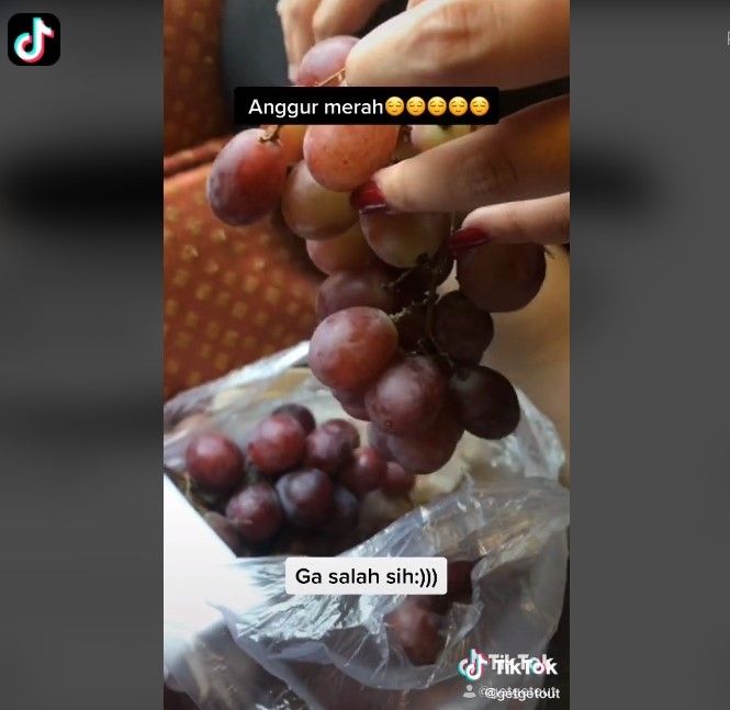 Pesan anggur merah lewat ojol yang datang bikin ngakak (tiktok)