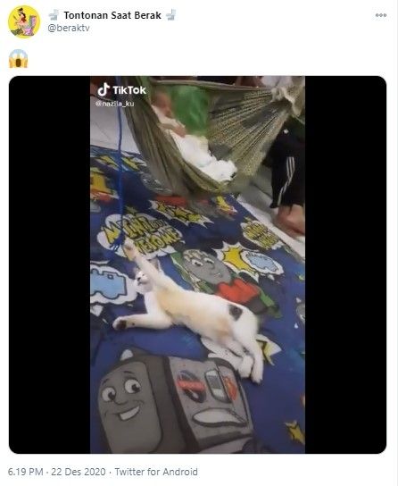 Kucing mengayun ayunan bayi (Twitter/beraktv)