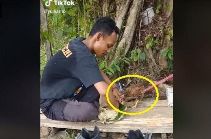 Pria Diganggu saat Sedang Makan, Endingnya Si Ayam Alami Hal Tak Terduga. (TikTok/@yuliianto)