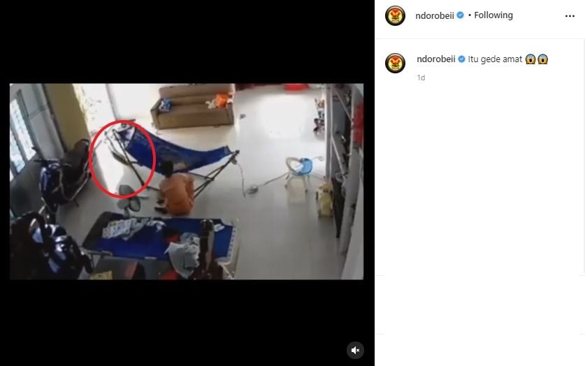 Video ibu dan anak dihampiri ular berukuran besar. (Instagram/ndorobeii)