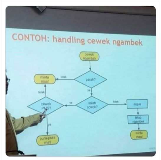 Penerapan Flowchart di Dunia Nyata, Buat Mengatasi Cewek Ngambek (twitter.com/outofcontext_id)