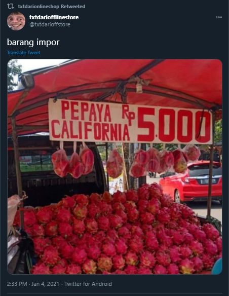 Ngaku Jual Pepaya, Isi Mobil Pedagang Ini Buat Warganet Geleng Kepala. (Twitter/@txtdarioffstore)