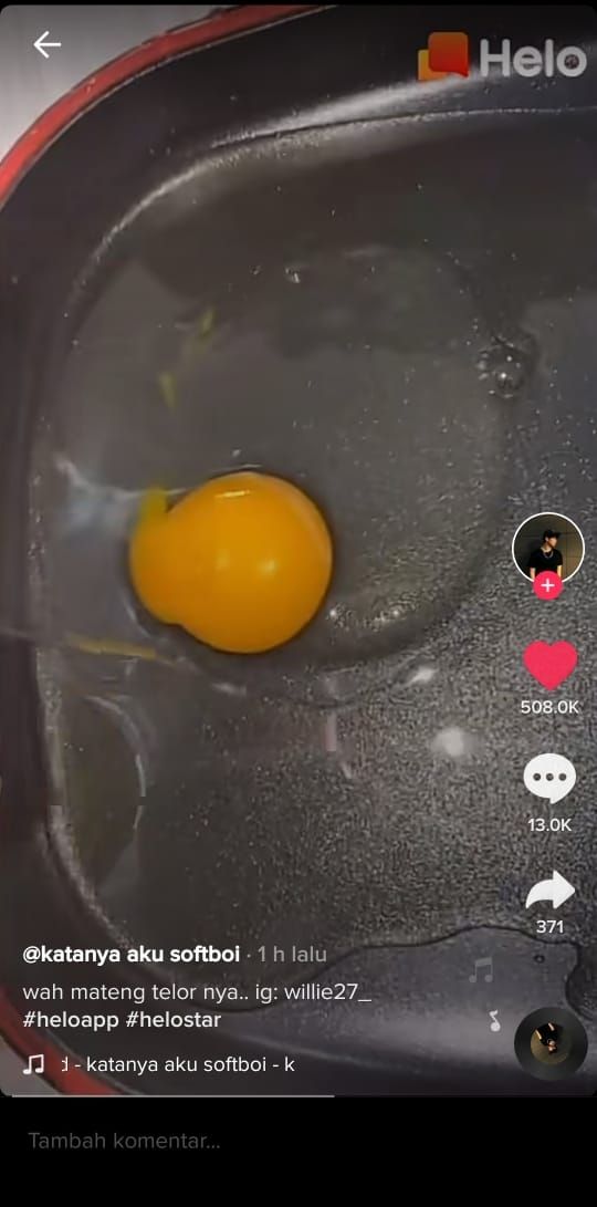 Eksperimen masak telur dengan panas matahari (TikTok @williesalim)