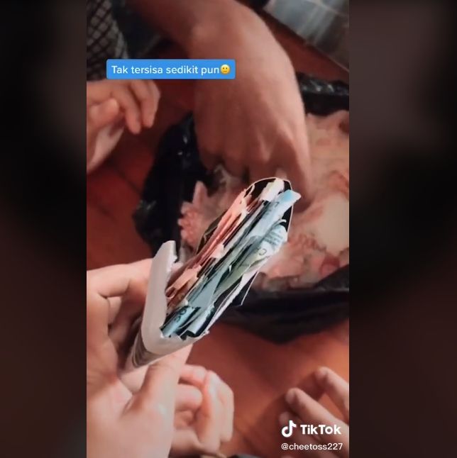 Video uang Rp 15 juta hancur dikunyah rayap. (TikTok/cheetoss227)