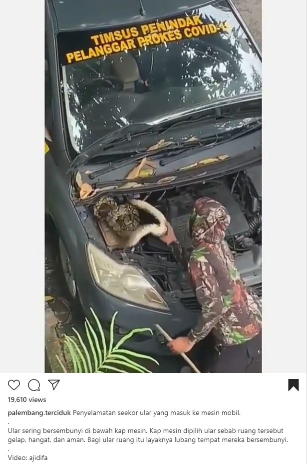 Mobil polisi yang dimasuki ular. (Instagram)