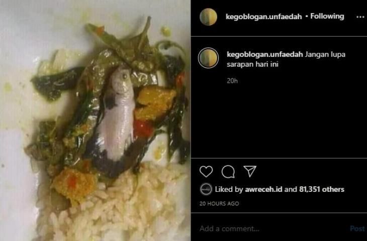 Ikan cupang dijadikan lauk. (instagram/kegoblogan.unfaedah)