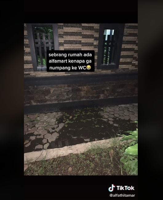 Video pria kencing sembarangan di pagar rumah orang. (TikTok/alfathitamar)