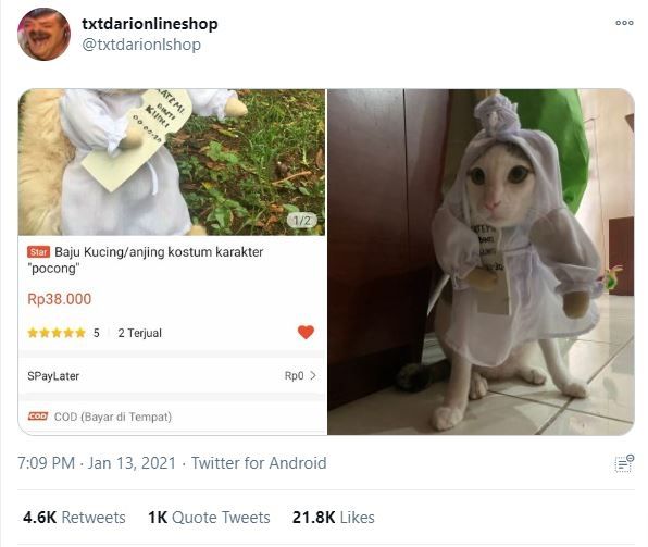 Viral Baju Kucing Bentuk Karakter Pocong (twitter.com/txtdarionlshop)