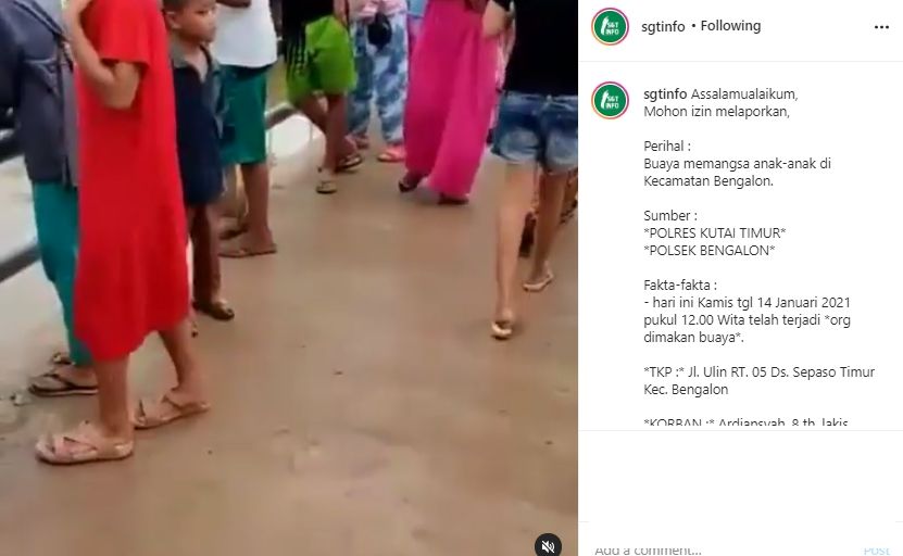 Bocah di Bengalon diterkam buaya saat mandi di sungai. (Instagram/sgtinfo)