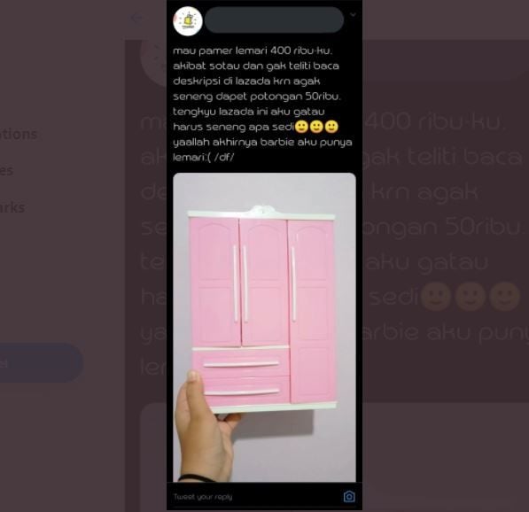 Tergiur Diskon, Wanita Ini Malah Dapat Lemari Barbie (twitter.com/txtdarionlshop)