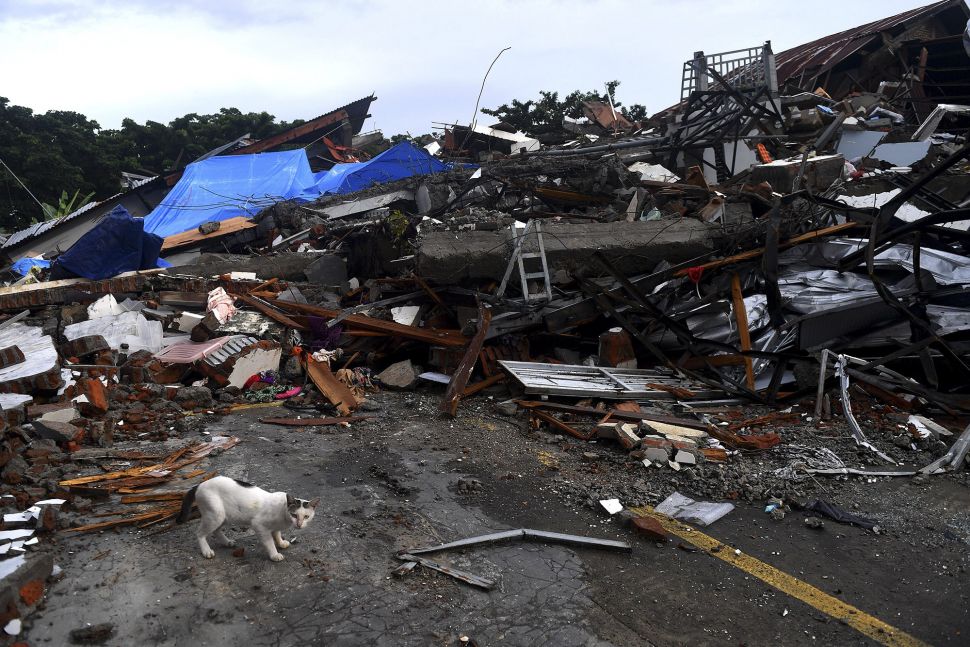 Kondisi Terkini Mamuju Setelah Diguncang Gempa Berkekuatan ...