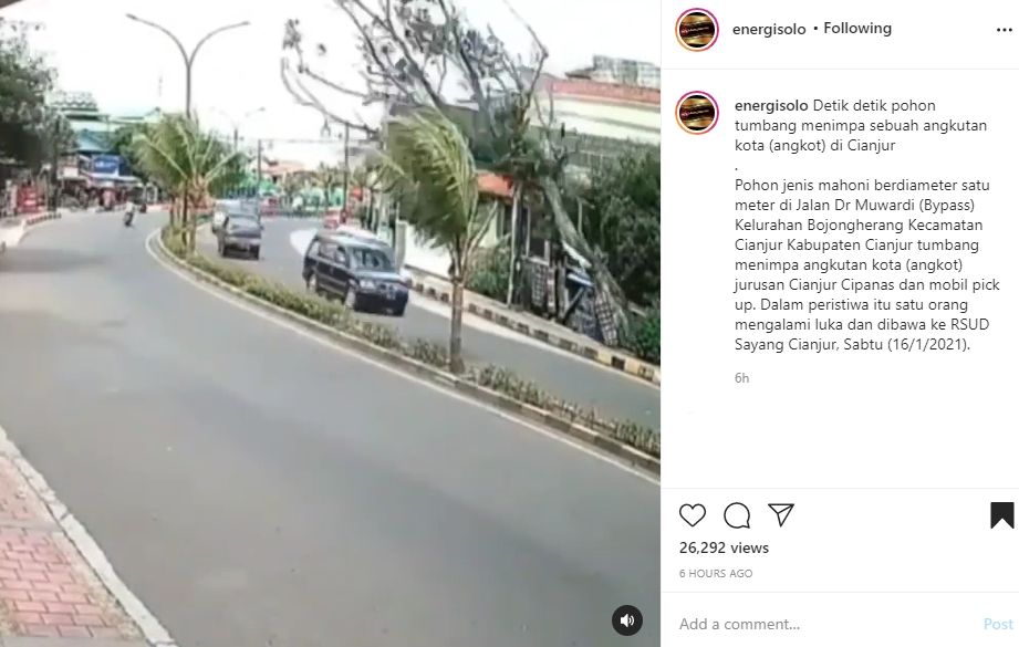 Detik-detik pohon roboh menimpa pengendara. (Instagram)