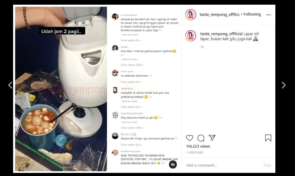 Viral Tamu Pakai Alat Ini Buat Masak Bakso Aci di Hotel, Publik: Norak Pol! (Instagram/@tante_rempong_offficial)