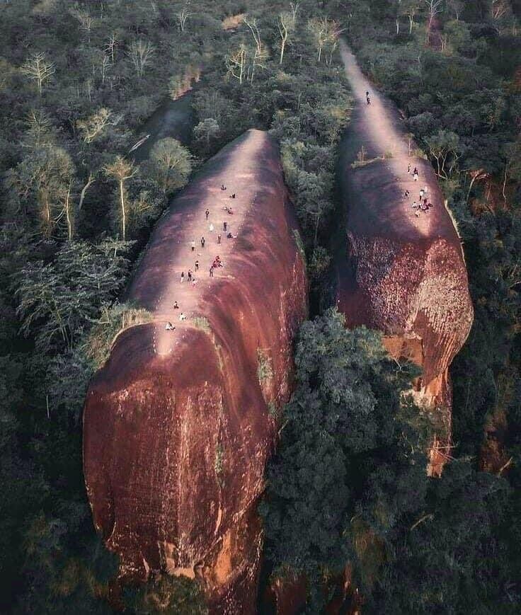 Viral Pemandangan Unik Mirip Tiga Paus Berenang (Twitter/IsskndarAriffin)