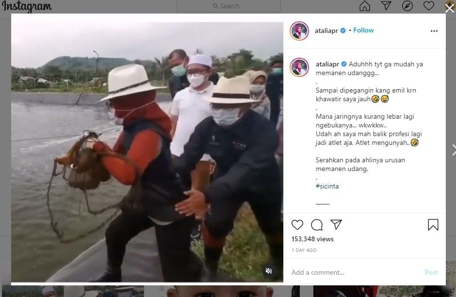 Momen romantis Ridwan Kamil dengan istri saat panen udang (IG/ataliapr)