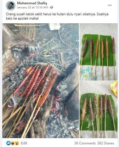 Penampakan Sate Kelabang Bikin Ngeri, Publik Salfok Lihat Cara Masaknya. (Facebook/Muhammad Shafiq)