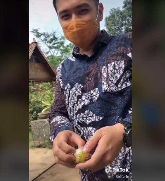 Iseng, Ulah Suami Petik Rambutan Sebiji Saat Kondangan (tiktok.com/@rifarfn)