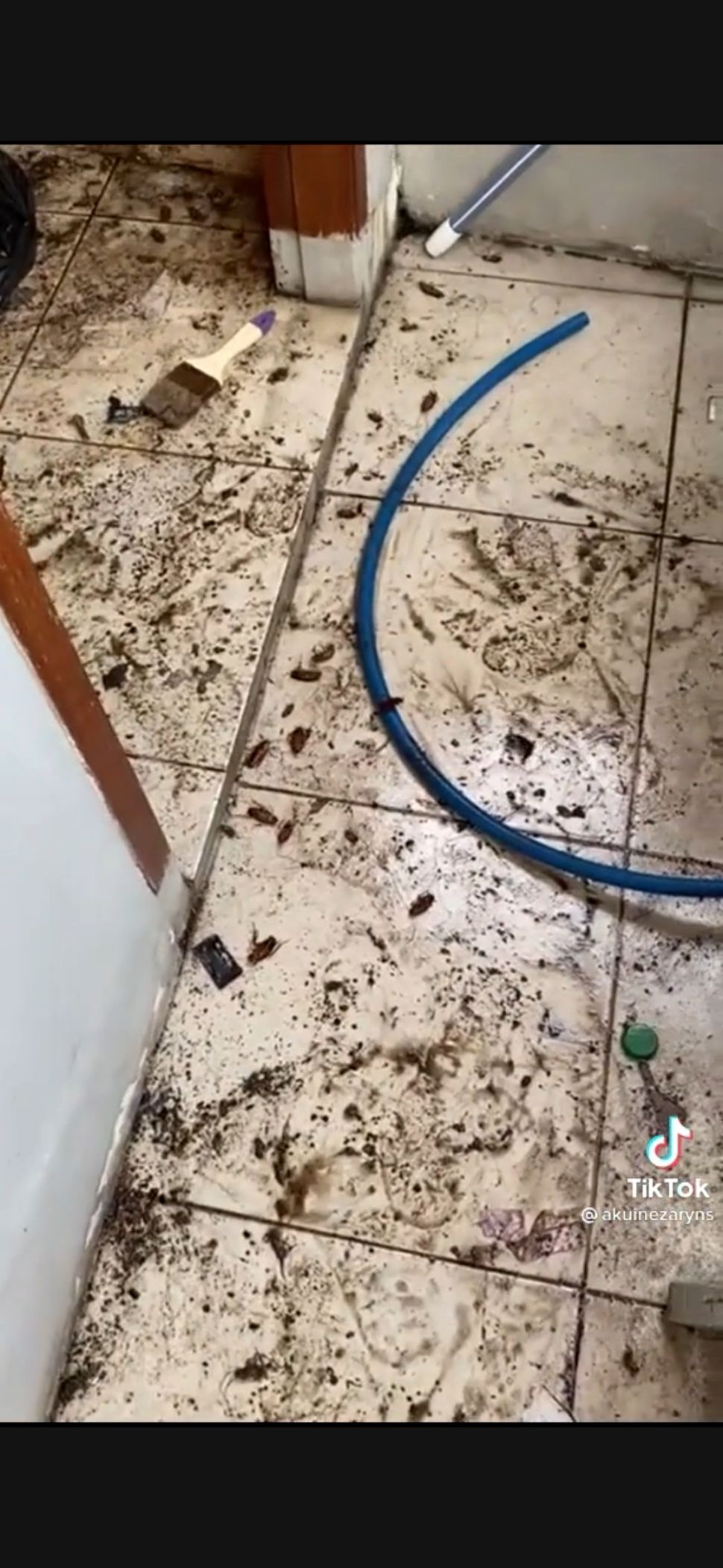 Kamar Kos Penuh Tumpukan Sampah (TikTok)