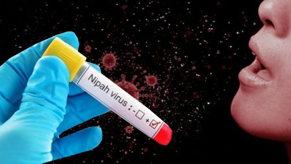 Virus Nipah (Shutterstock)