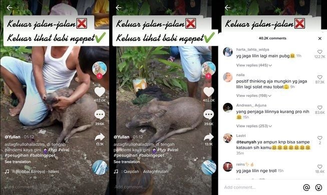 Viral video warga diduga menangkap babi ngepet, warganet beri komentar kocak. (TikTok/@yulian15_4)