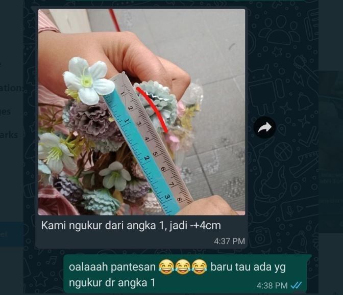 Viral Penjual Ngotot Ukuran Bunga 4 Cm, Cara Mengukur Jadi Sorotan (twitter.com/txtdarionlshop)