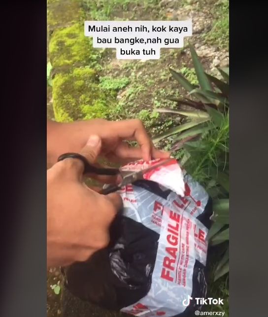 Video curhat pemuda beli ikan cupang di olshop. (TikTok/amerxzy)