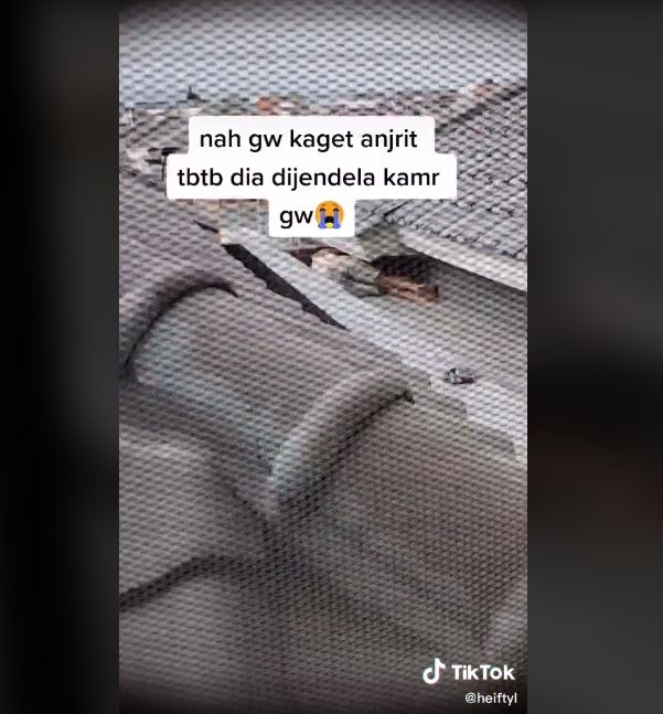 Video curhat gadis kaget lihat ke jendela usai ganti baju. (TikTok/heiftyl)