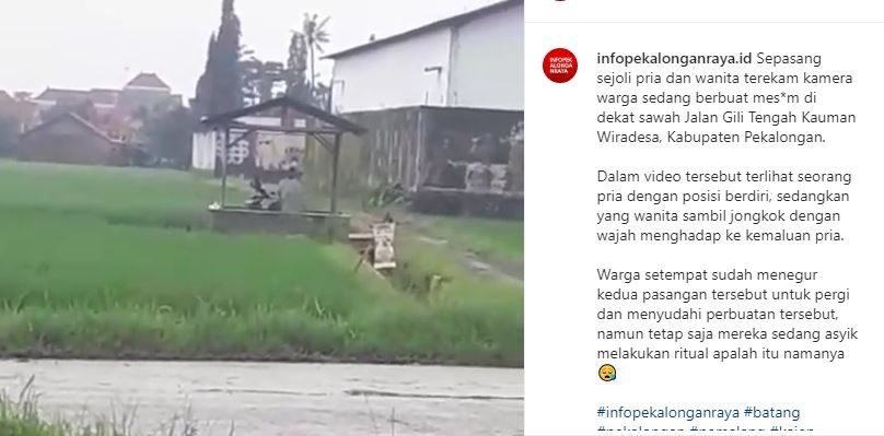 Viral video sejoli mesum di tengah sawah. (Instagram/@infopekalonganraya.id)