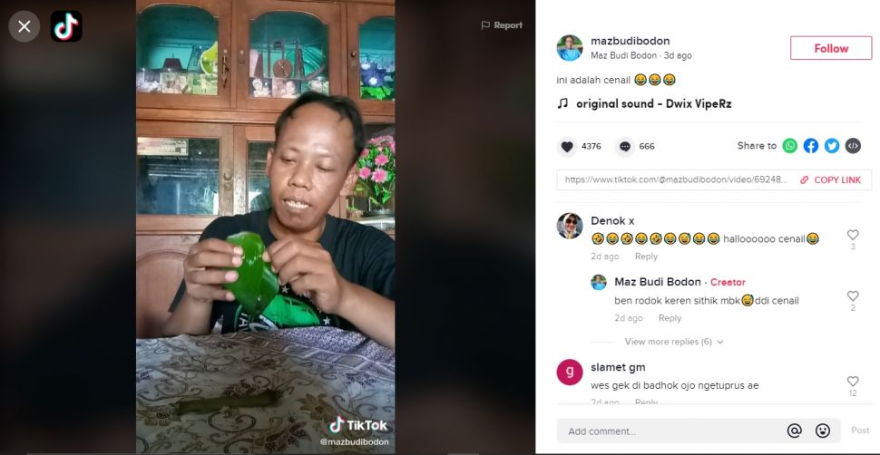 Pria review makanan pakai bahasa Jawa medok viral (TikTok/mazbudibodon).