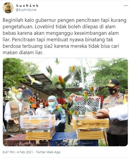 Gubernur Jatim Khofifah tuai kritik usai lepas burung lovebird ke alam liar (Twitter)