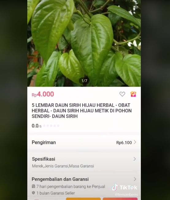 Video aksi pria iseng jual daun sirih. (TikTok/lemanbens)