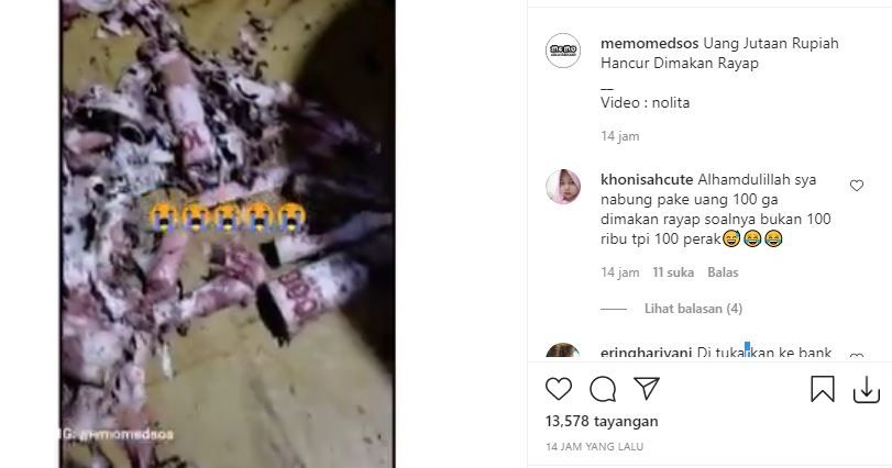 Uang jutaan rupiah dimakan rayap. (Instagram/memomedsos)