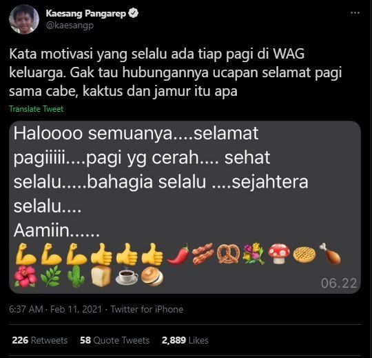 Isi chat keluarga Kaesang Pangarep. (Twitter/kaesangp)