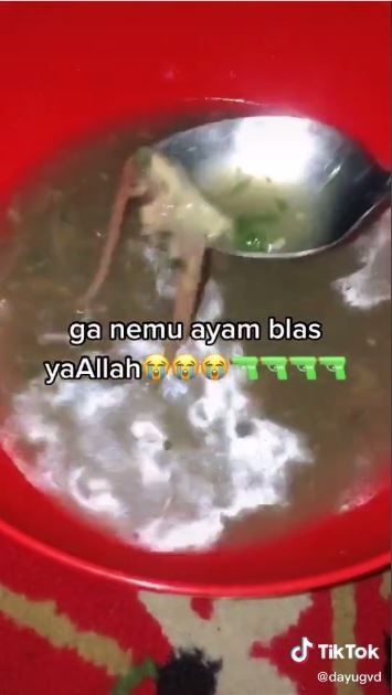 Sop ayam tanpa ayam (TikTok @dayugvd)