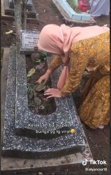 Viral emak-emak ambil tanaman di kuburan. (Tiktok/@alyanoor18)