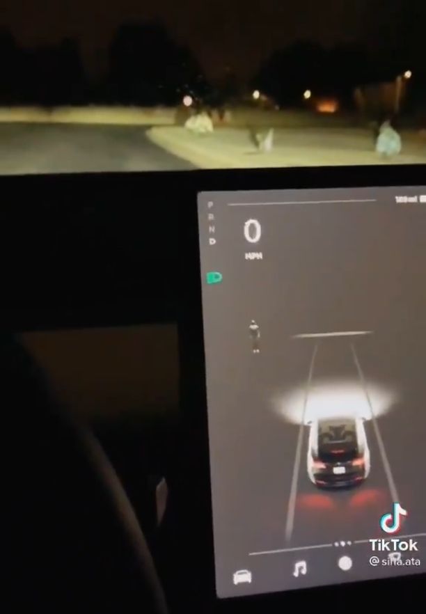 Radar mobil Tesla deteksi objek tak kasatmata. (TikTok/@Sina.ata)