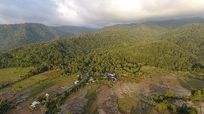 Hutan Nagari Sungai Buluh di Sumatra Barat. (Dok. HII)