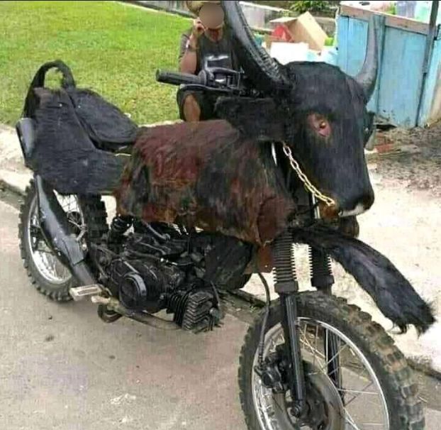 Deretan motor yang punya tampang ala binatang. (Facebook)