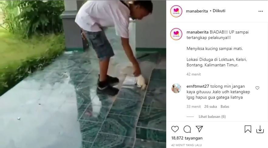 Viral video seorang pemuda siksa kucing hingga mati. (Instagram/manaberita)