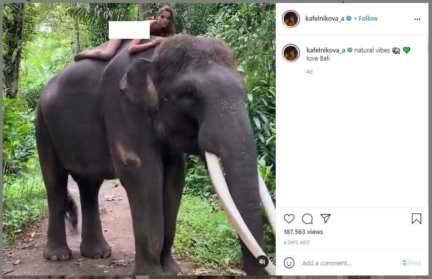 Alesya Kafelnikova, Model yang Dikritik karena Naik Gajah sambil Telanjang di Bali (instagram.com/kafelnikova_a)