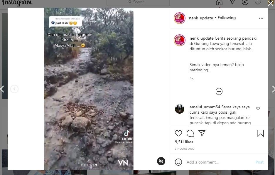 Pendaki tersesat ditolong burung jalak (IG/nenk_update)