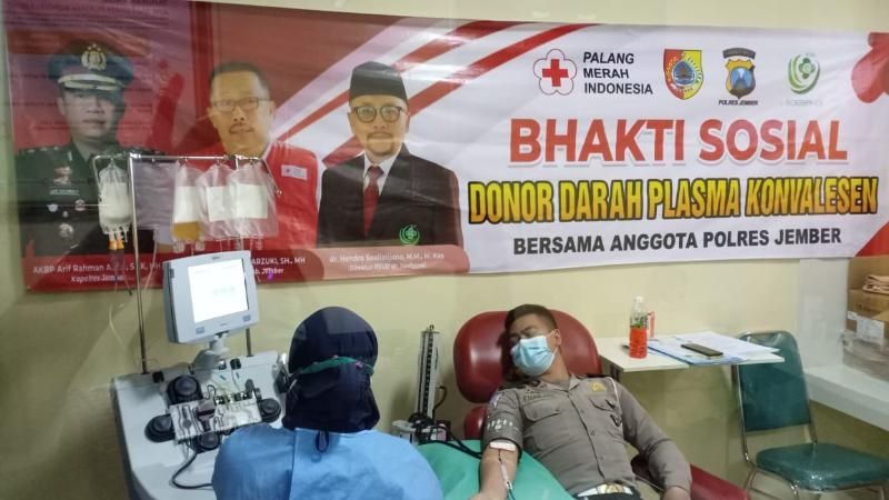 Ilustrasi donor darah plasma konvalesen di Jember. Stok plasma konvalesen di Jember kosong. [Dok Humas PMI Jember]