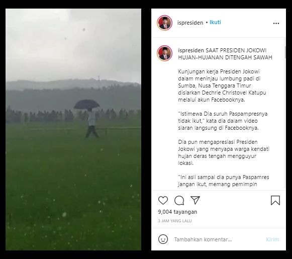 Momen Presiden Jokowi berjalan seorang diri ke tengah sawah menembus hujan (Instagram).