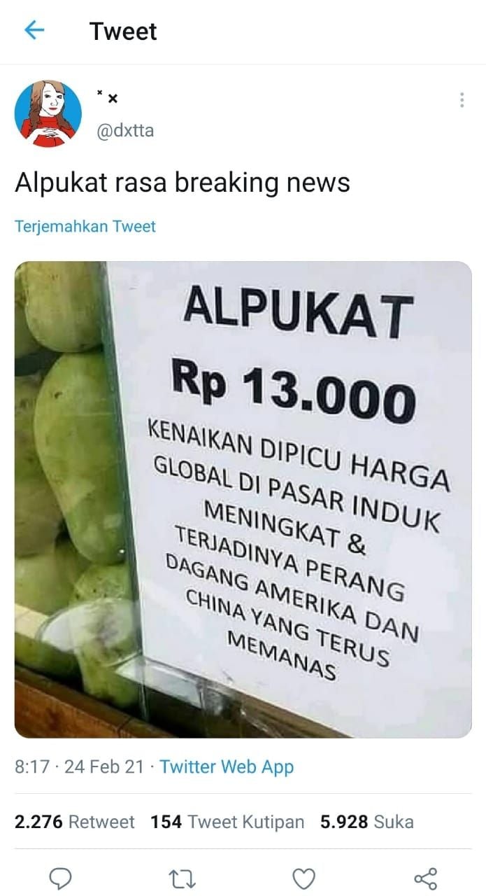 Pedagang ini ungkap alasan harga alpukat naik karena perdang dagang memanas (Twitter @dxtta)